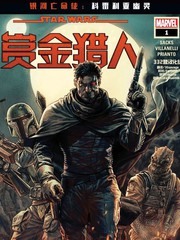 赏金猎人V1