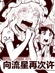 向流星再次许下心愿