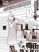 夹在百合中间的梅田地下迷宫